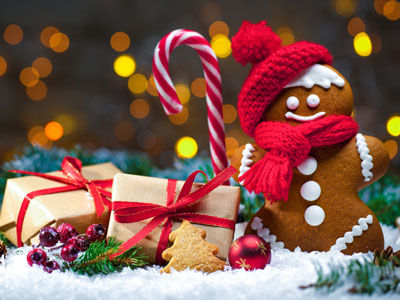 Enroll - Christmas Multipurpose Responsive Shopify Theme (Sections Ready)