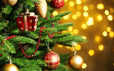 Enroll - Christmas Multipurpose Responsive Shopify Theme (Sections Ready)