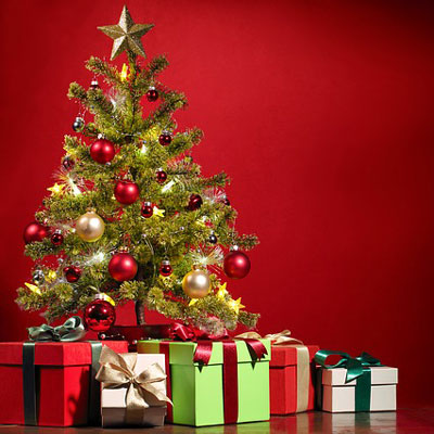 Enroll - Christmas Multipurpose Responsive Shopify Theme (Sections Ready)